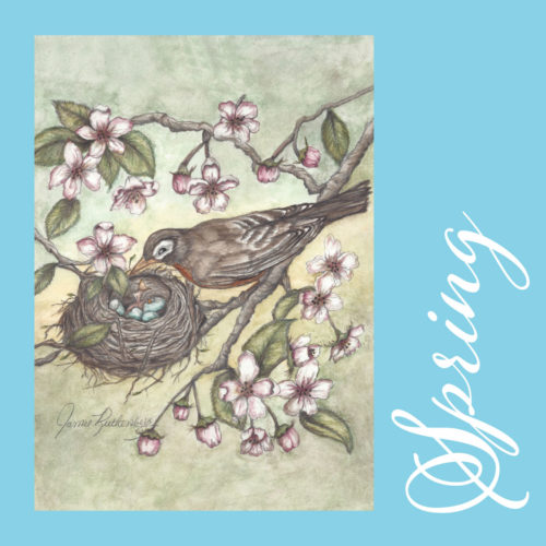 American Robin Greeting Cards – Spring